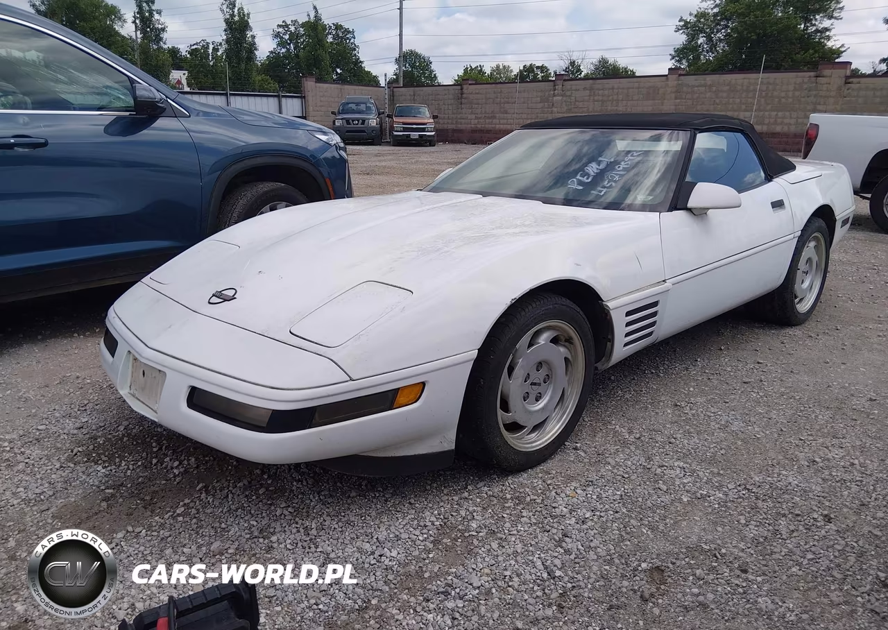1991 Chevrolet Corvette VIN:1G1YY3382M5103582 - 2