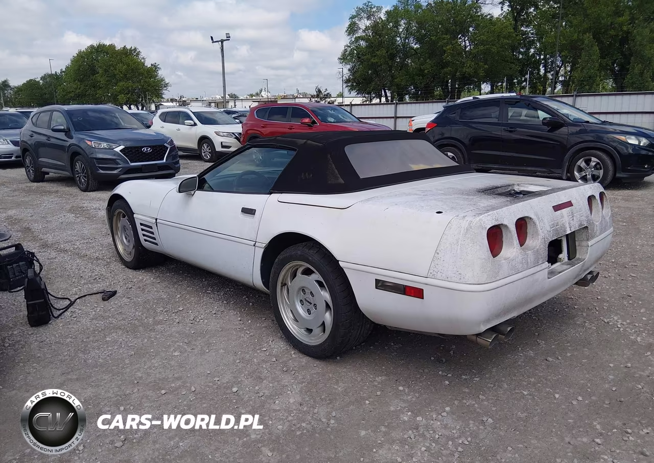 1991 Chevrolet Corvette VIN:1G1YY3382M5103582 - 3