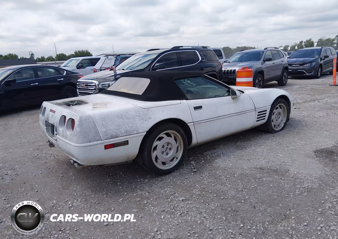 1991 Chevrolet Corvette VIN:1G1YY3382M5103582 - 4