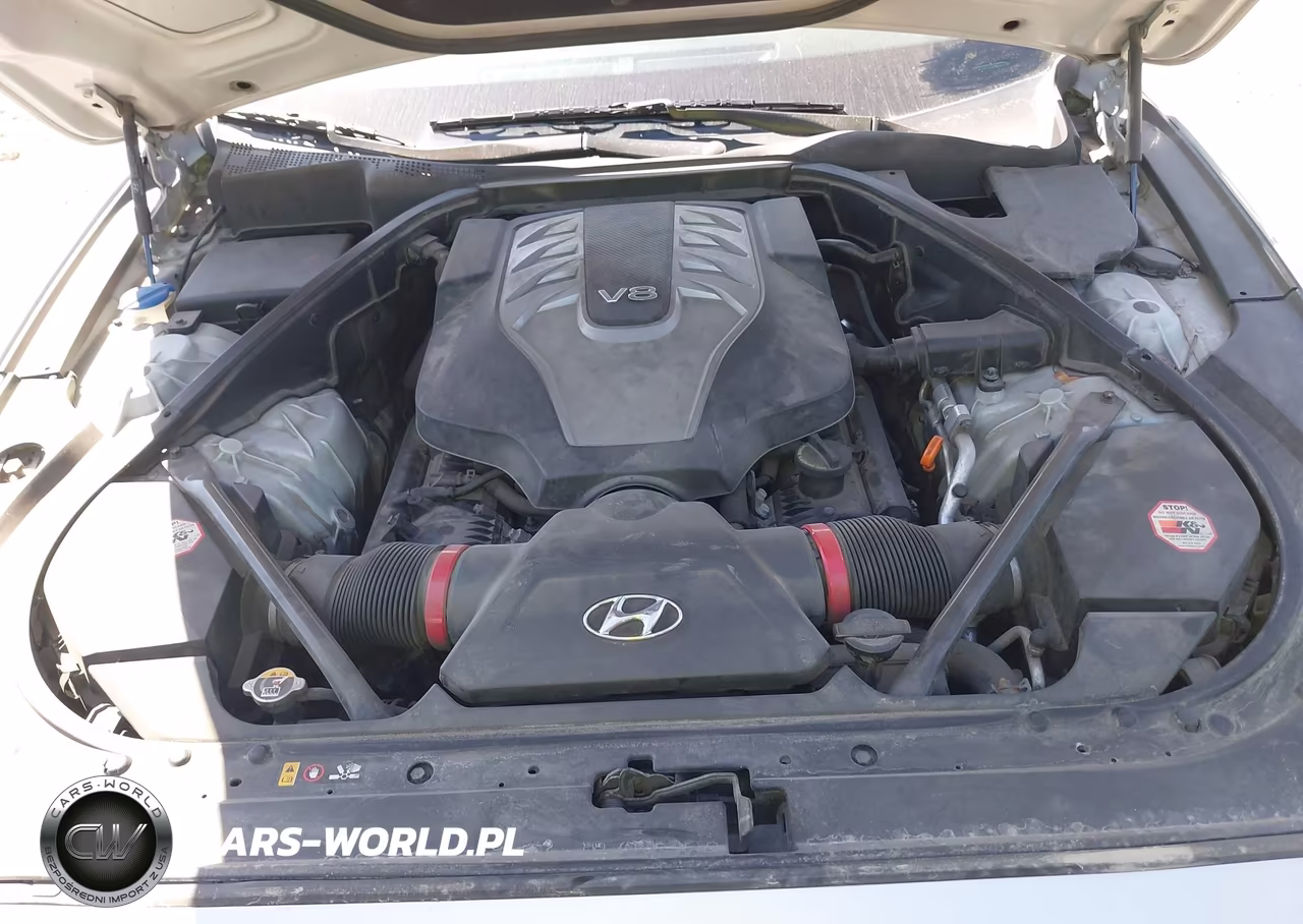2015 Hyundai Genesis 5.0 VIN:KMHGN4JF1FU053040 - 10