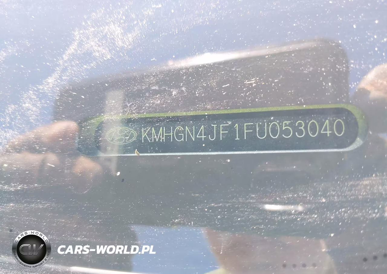2015 Hyundai Genesis 5.0 VIN:KMHGN4JF1FU053040 - 9