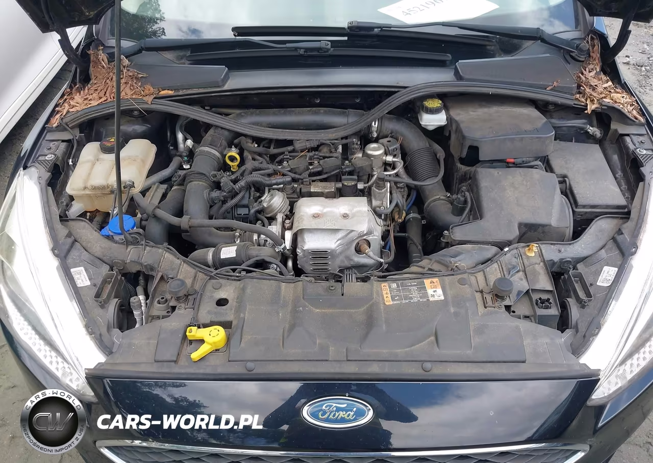 2018 Ford Focus Se VIN:1FADP3FE6JL255162 - 10