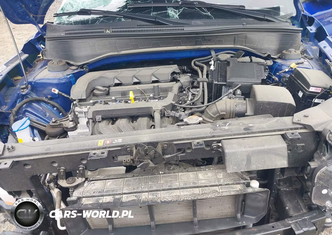 2024 Hyundai Venue Limited VIN:KMHRC8A39RU327522 - 10