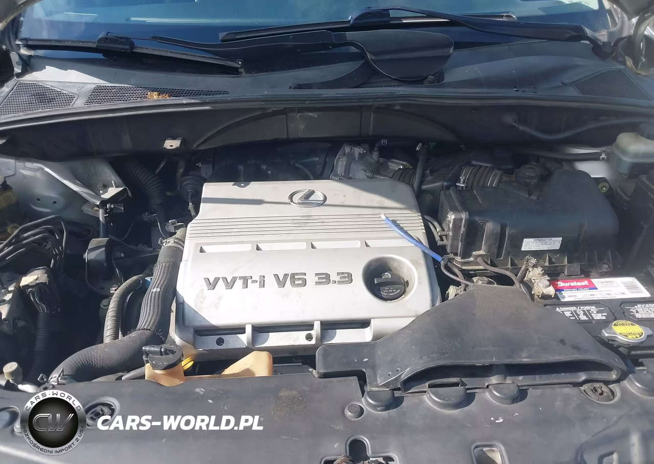 2006 Lexus Rx 330 VIN:JTJGA31U660061941 - 10