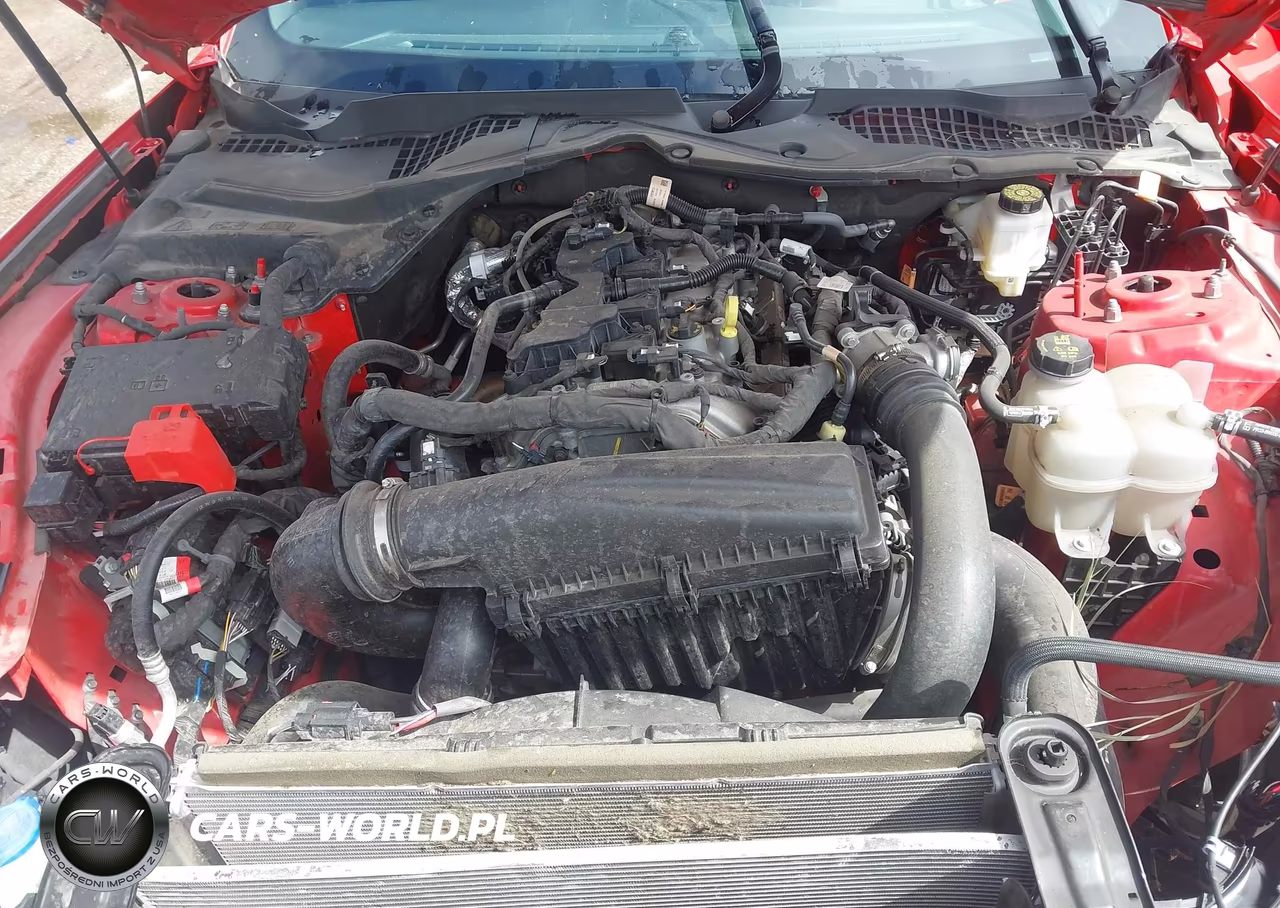 2024 Ford Mustang Ecoboost Fastback VIN:1FA6P8TH7R5108210 - 10
