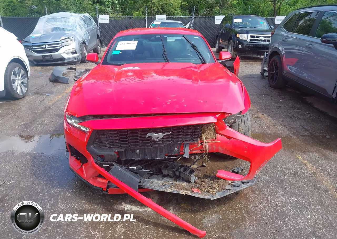 2024 Ford Mustang Ecoboost Fastback VIN:1FA6P8TH7R5108210 - 13