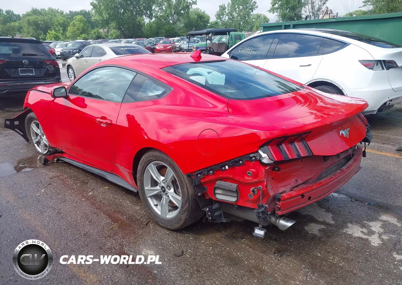 2024 Ford Mustang Ecoboost Fastback VIN:1FA6P8TH7R5108210 - 3