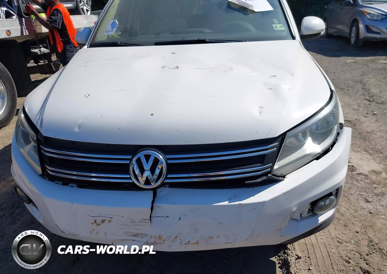 2013 Volkswagen Tiguan Se VIN:WVGAV3AX1DW563009 - 10
