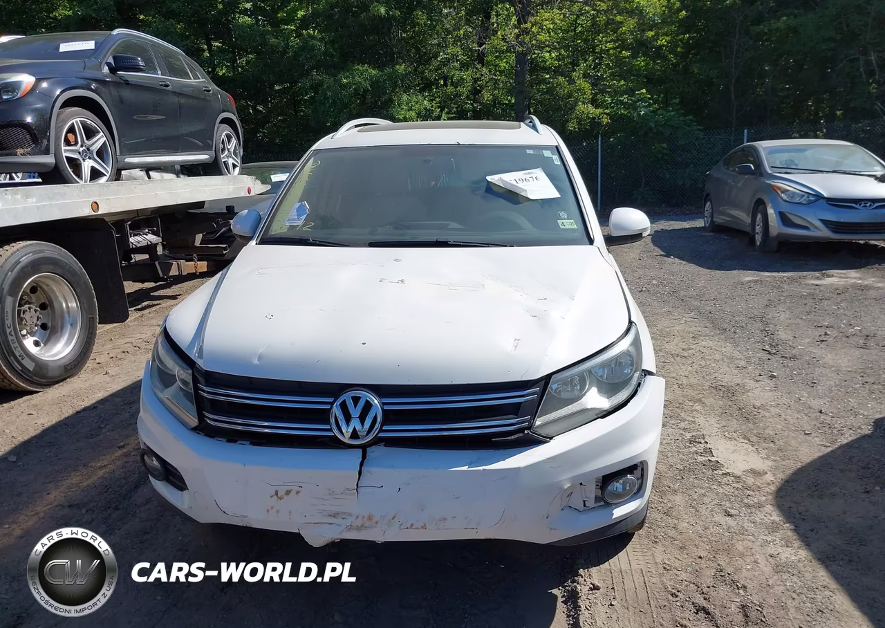 2013 Volkswagen Tiguan Se VIN:WVGAV3AX1DW563009 - 11