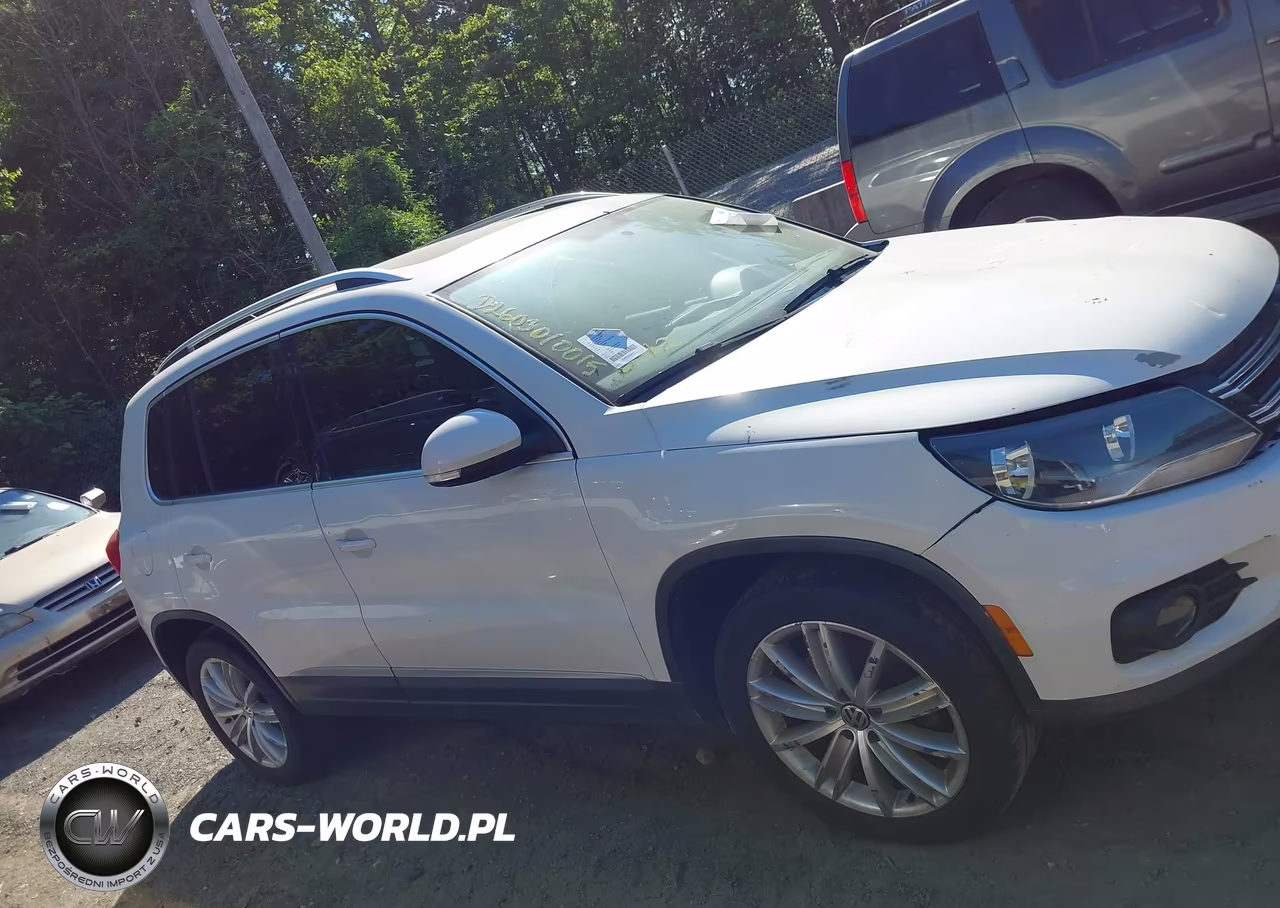 2013 Volkswagen Tiguan Se VIN:WVGAV3AX1DW563009 - 12