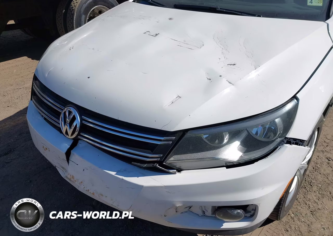 2013 Volkswagen Tiguan Se VIN:WVGAV3AX1DW563009 - 6
