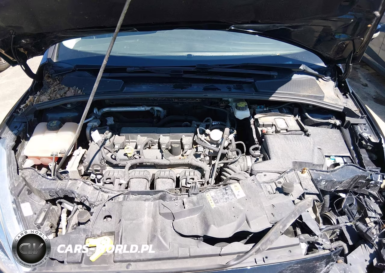2017 Ford Focus Se VIN:1FADP3F23HL302731 - 10