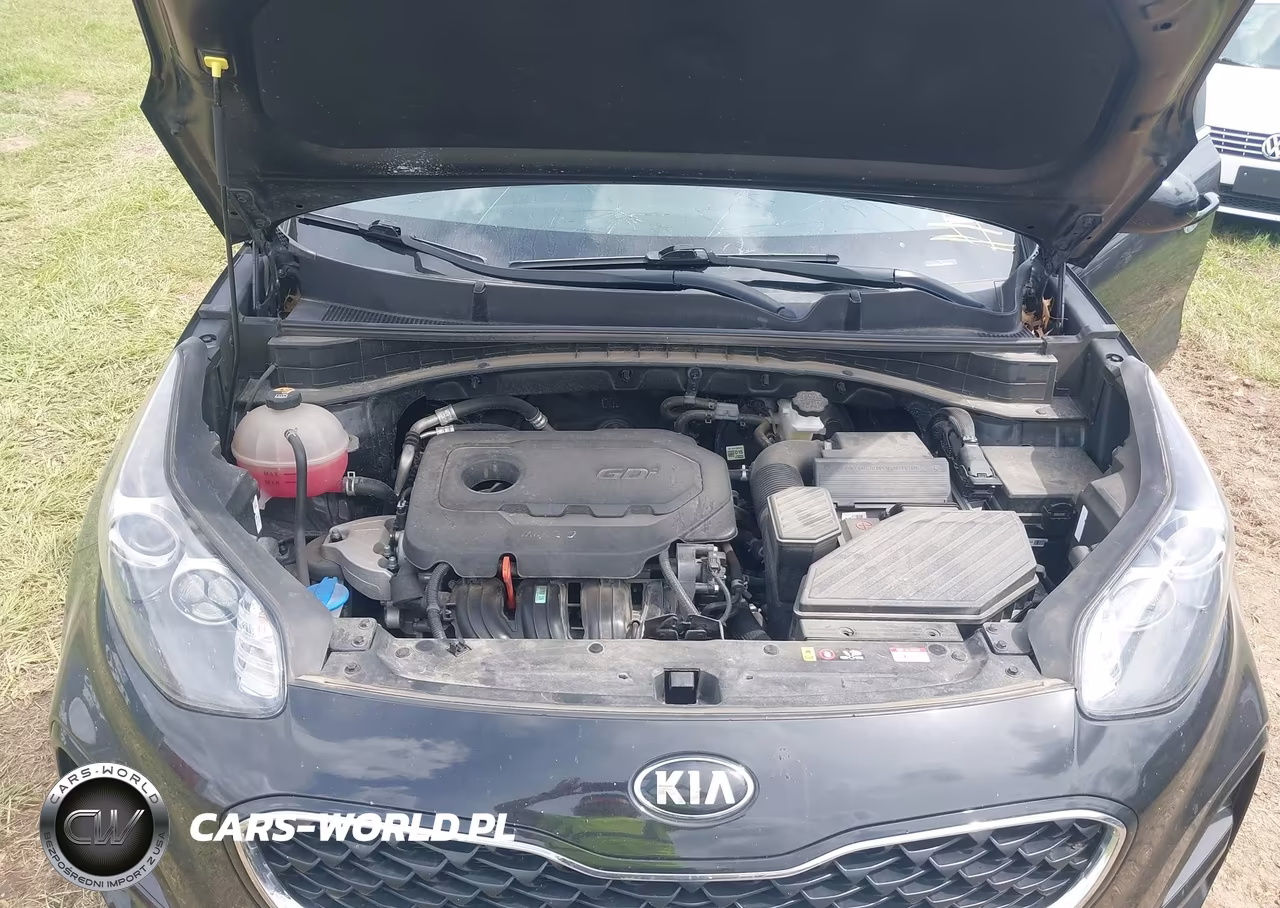 2022 Kia Sportage Lx VIN:KNDPM3AC6N7997999 - 10