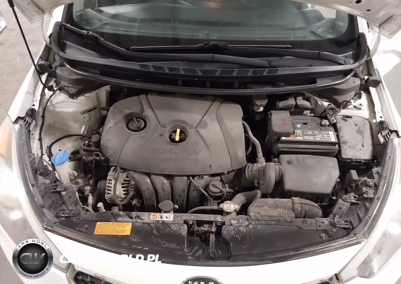2016 Kia Forte Lx VIN:KNAFK4A65G5610260 - 10
