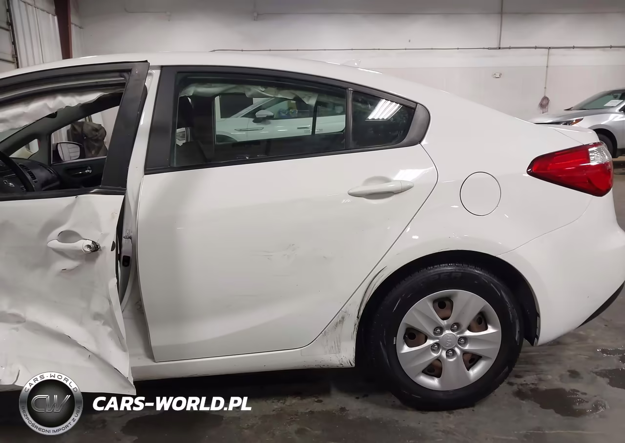 2016 Kia Forte Lx VIN:KNAFK4A65G5610260 - 18