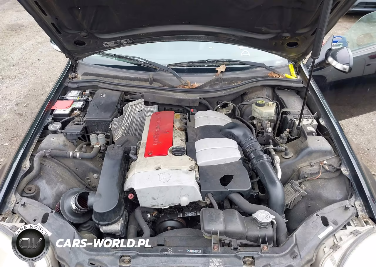 2004 Mercedes-Benz Slk 230 Kompressor VIN:WDBKK49F74F301836 - 10