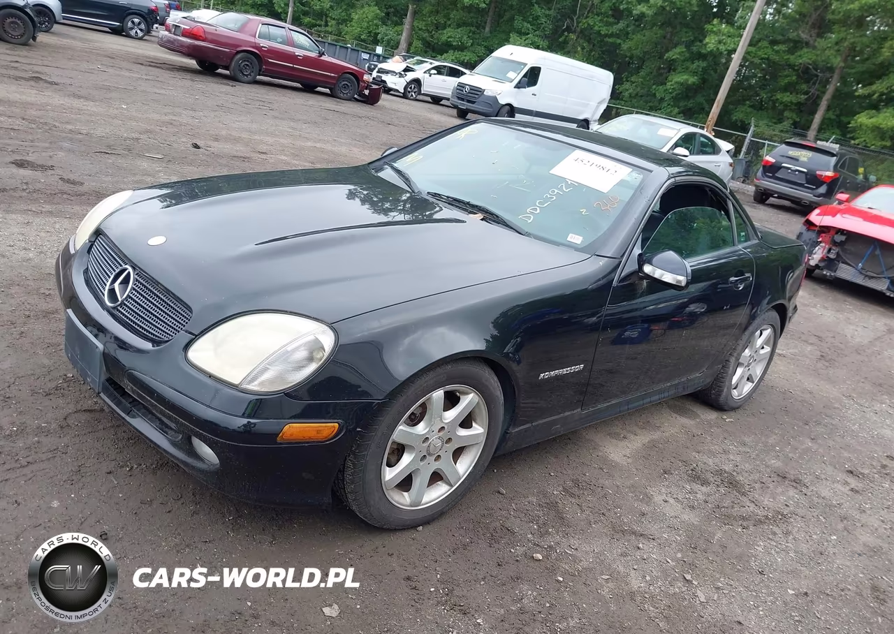 2004 Mercedes-Benz Slk 230 Kompressor VIN:WDBKK49F74F301836 - 2
