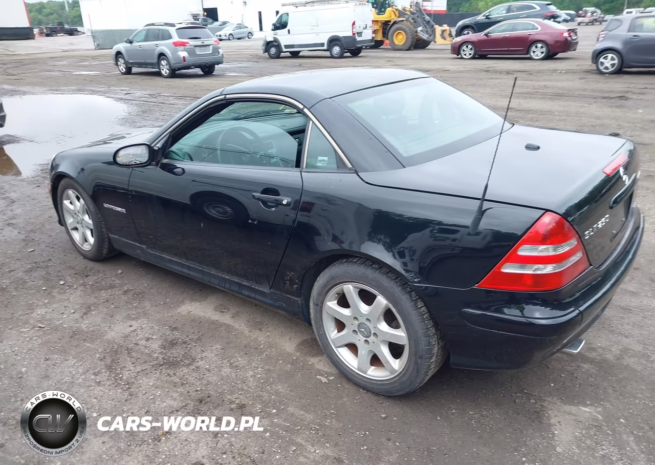 2004 Mercedes-Benz Slk 230 Kompressor VIN:WDBKK49F74F301836 - 3