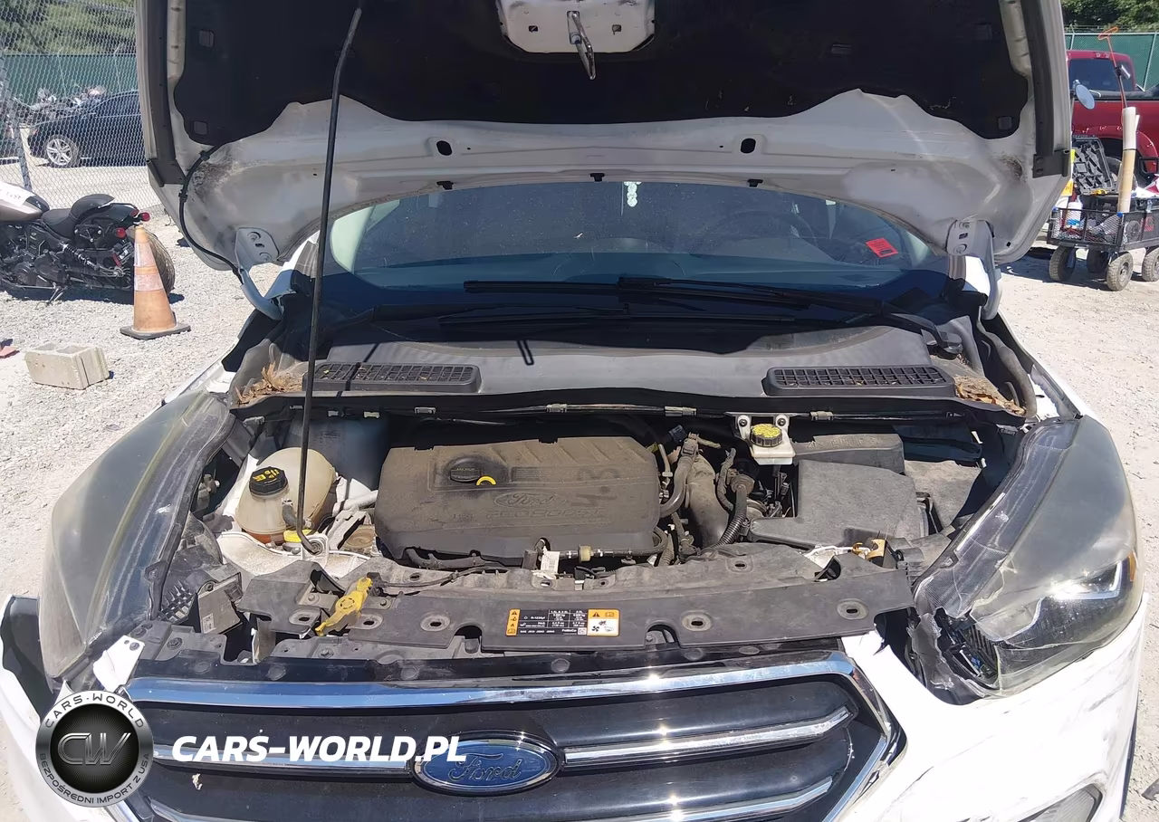 2017 Ford Escape Se VIN:1FMCU9GD9HUB89195 - 10