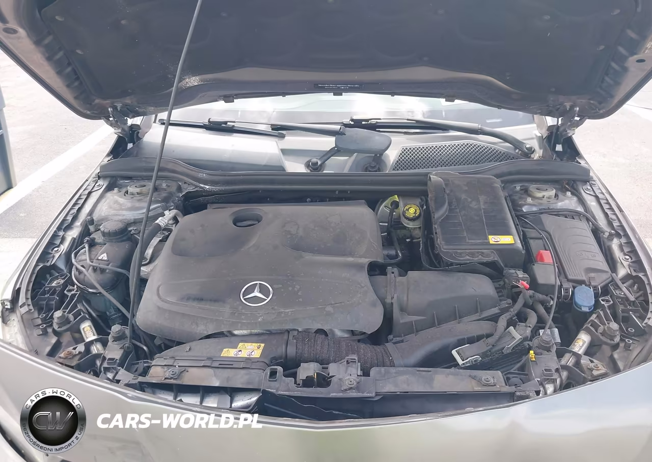 2014 Mercedes-Benz Cla 250 VIN:WDDSJ4EB9EN157825 - 10
