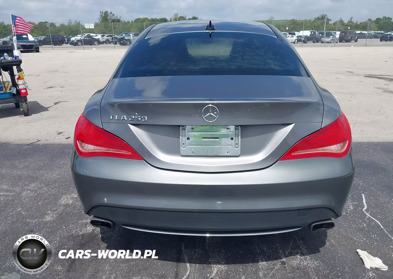 2014 Mercedes-Benz Cla 250 VIN:WDDSJ4EB9EN157825 - 16