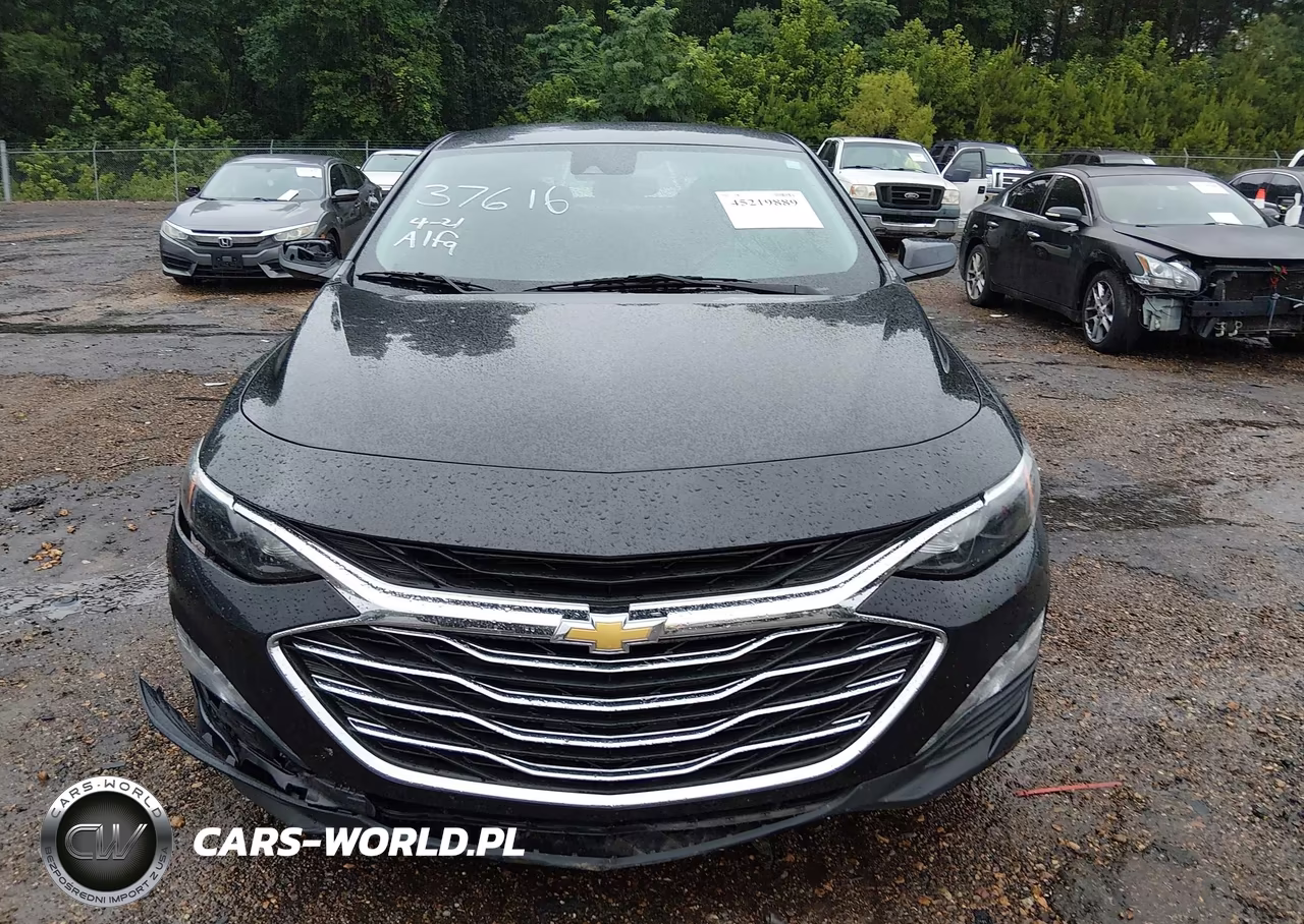 2023 Chevrolet Malibu Fwd 1Lt VIN:1G1ZD5ST0PF134409 - 12