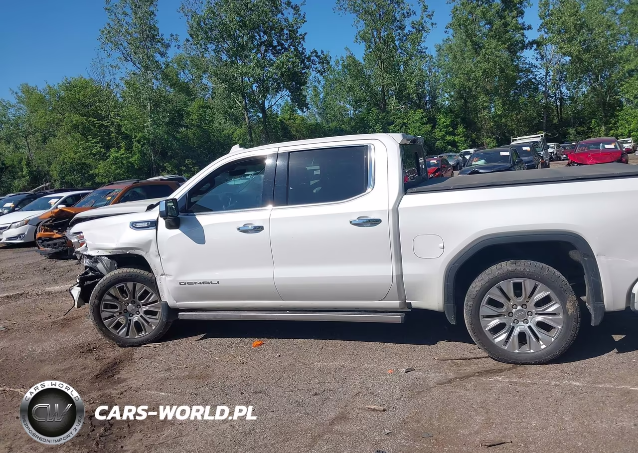 2020 GMC Sierra 1500 4Wd Short Box Denali VIN:3GTU9FET4LG320290 - 14
