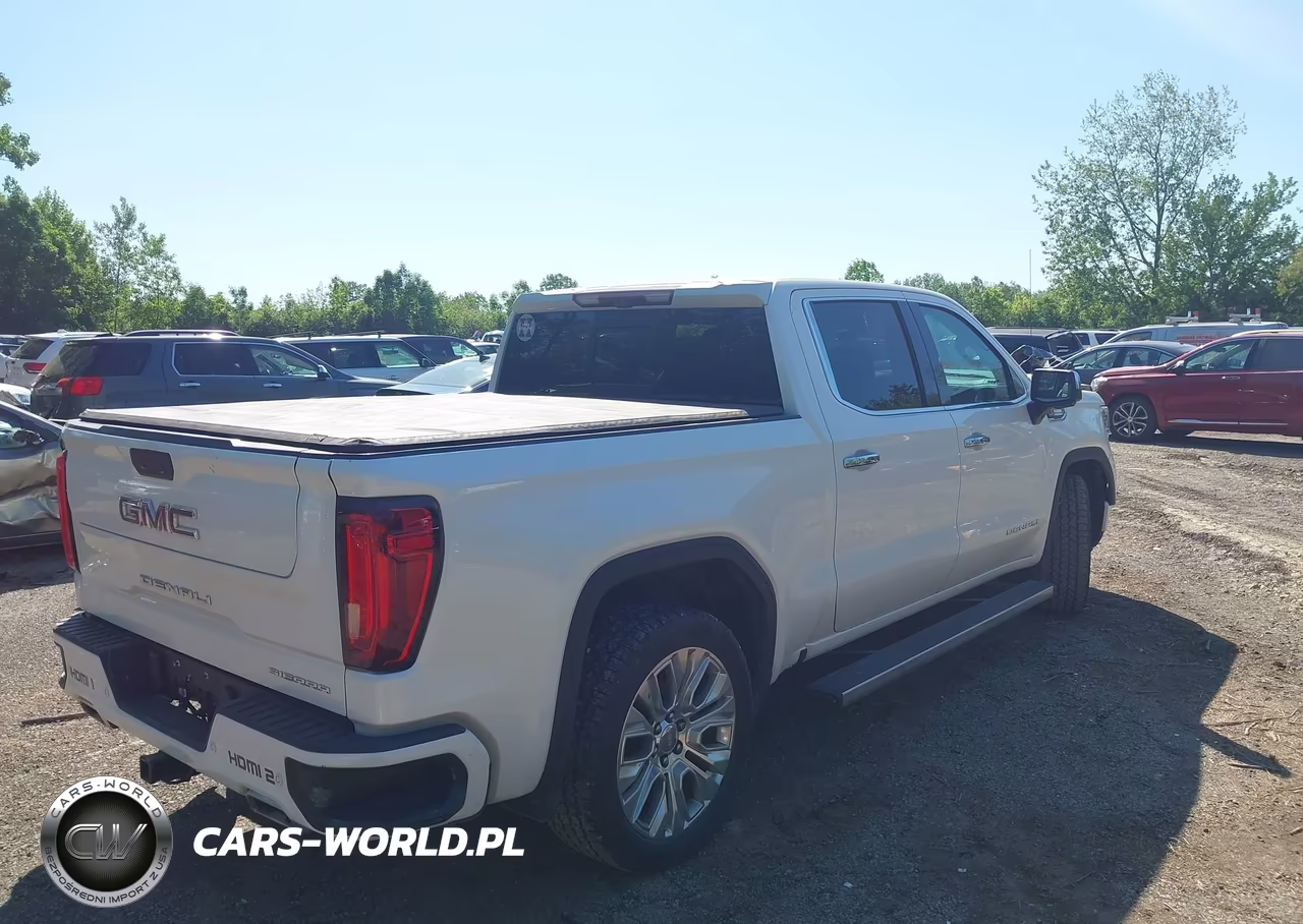 2020 GMC Sierra 1500 4Wd Short Box Denali VIN:3GTU9FET4LG320290 - 4