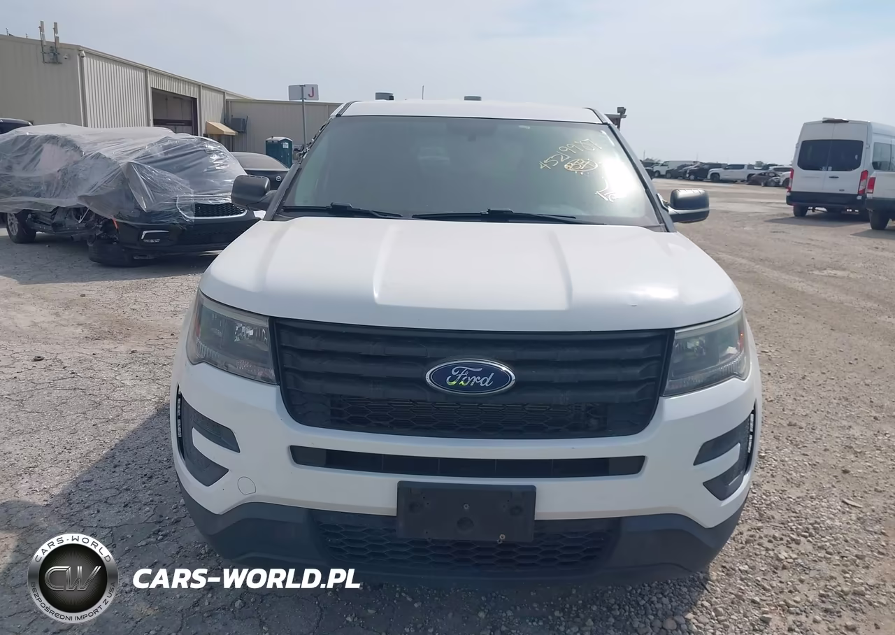 2019 Ford Police Interceptor Utility VIN:1FM5K8AR2KGB55487 - 12