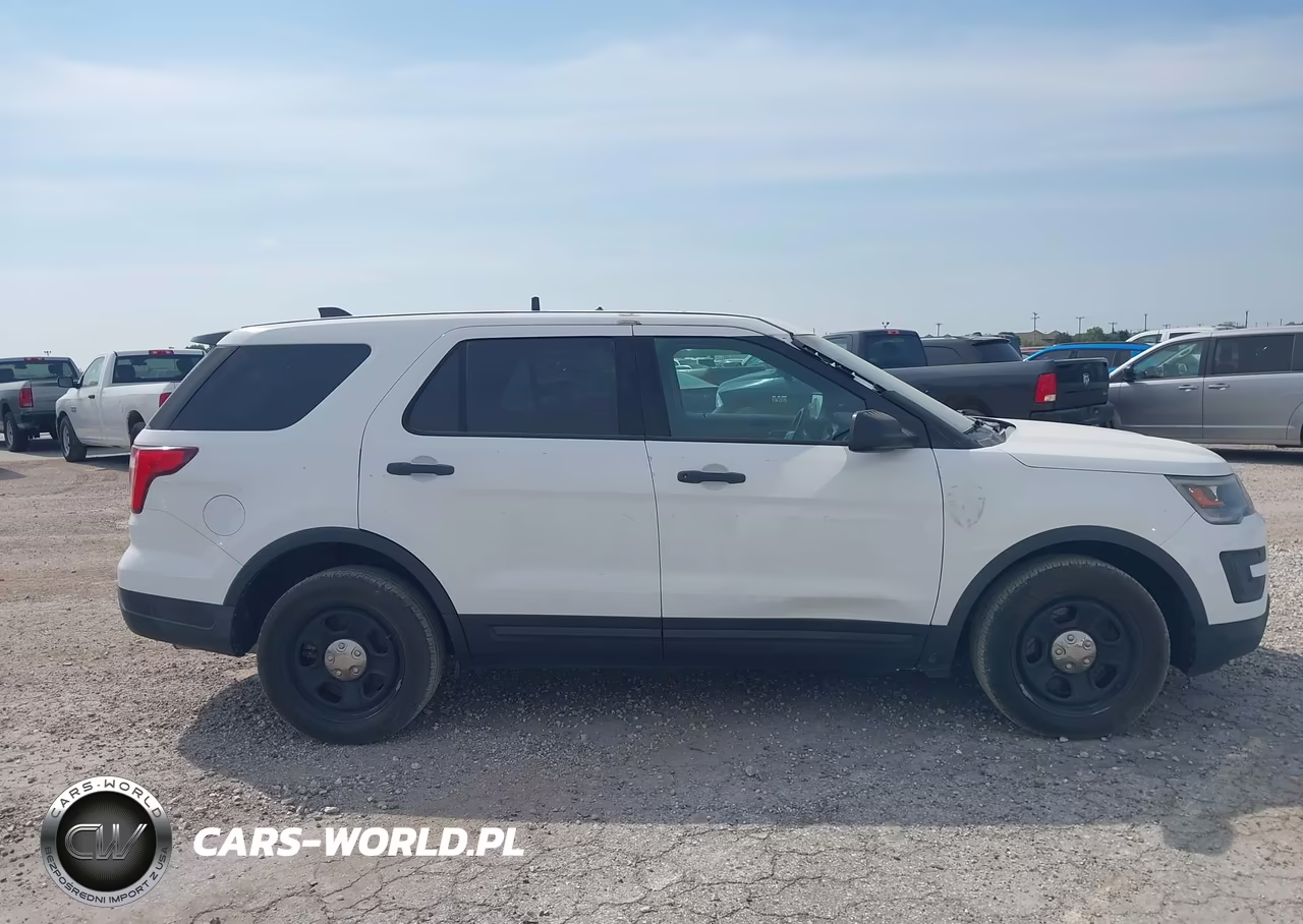 2019 Ford Police Interceptor Utility VIN:1FM5K8AR2KGB55487 - 13