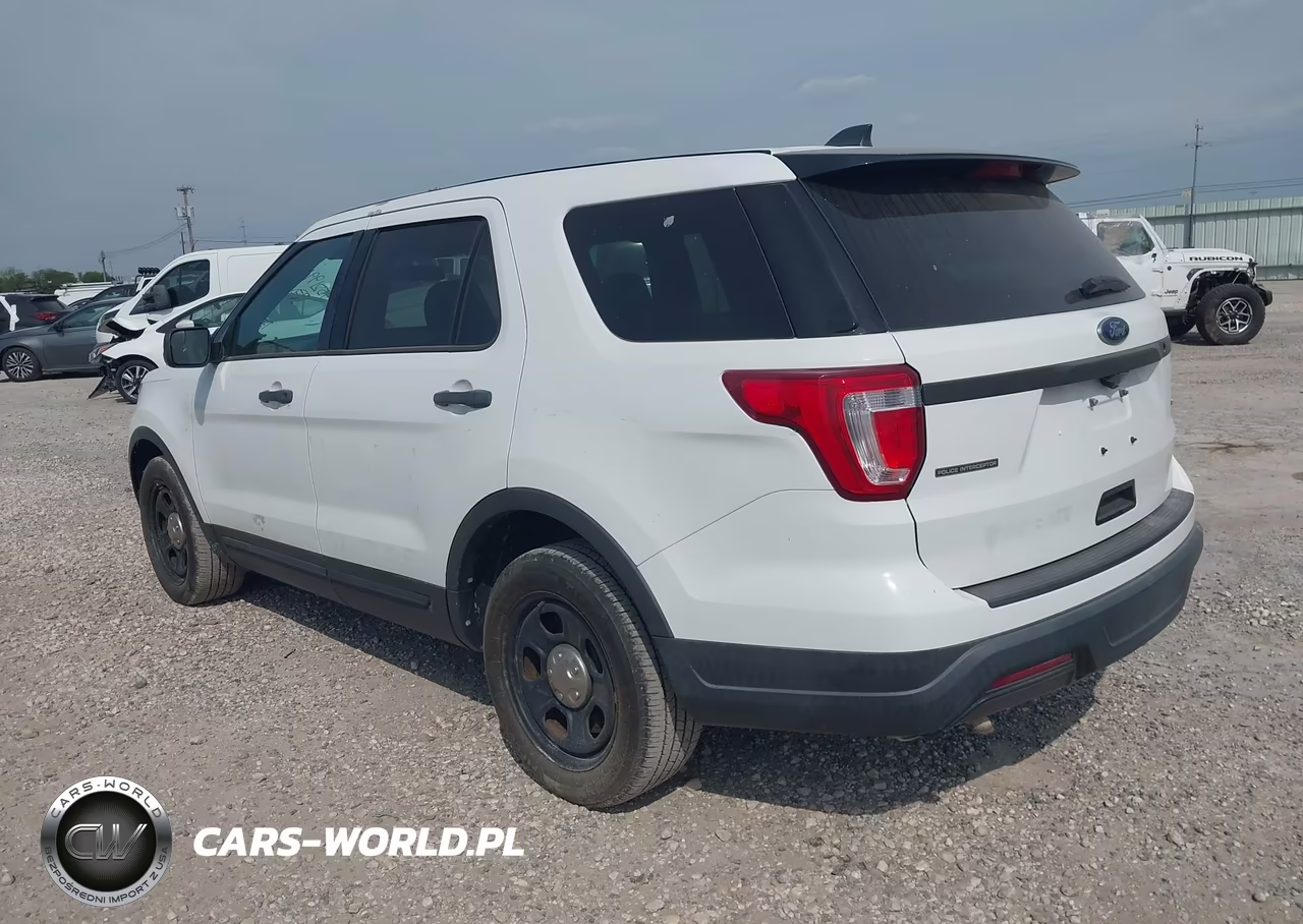 2019 Ford Police Interceptor Utility VIN:1FM5K8AR2KGB55487 - 3