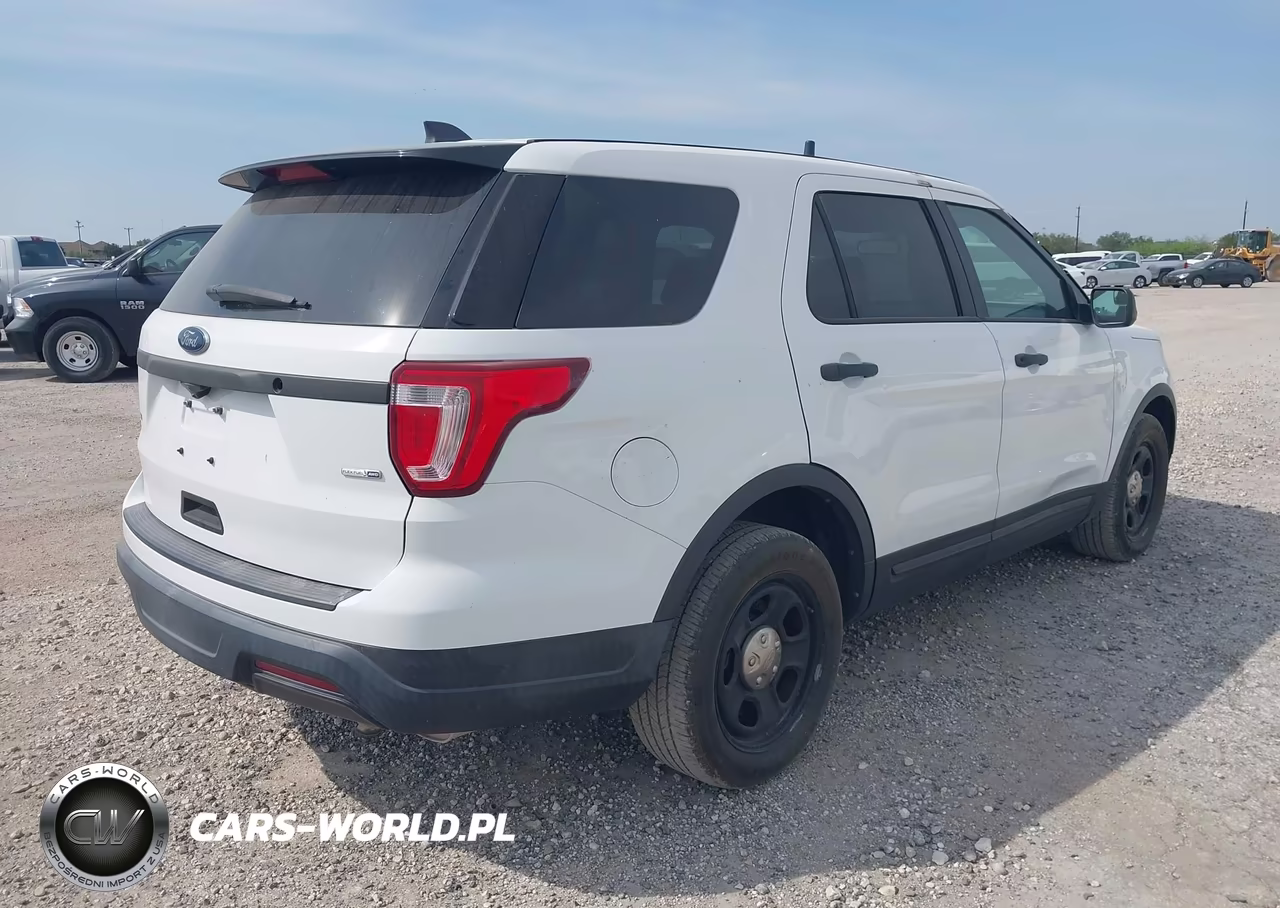 2019 Ford Police Interceptor Utility VIN:1FM5K8AR2KGB55487 - 4