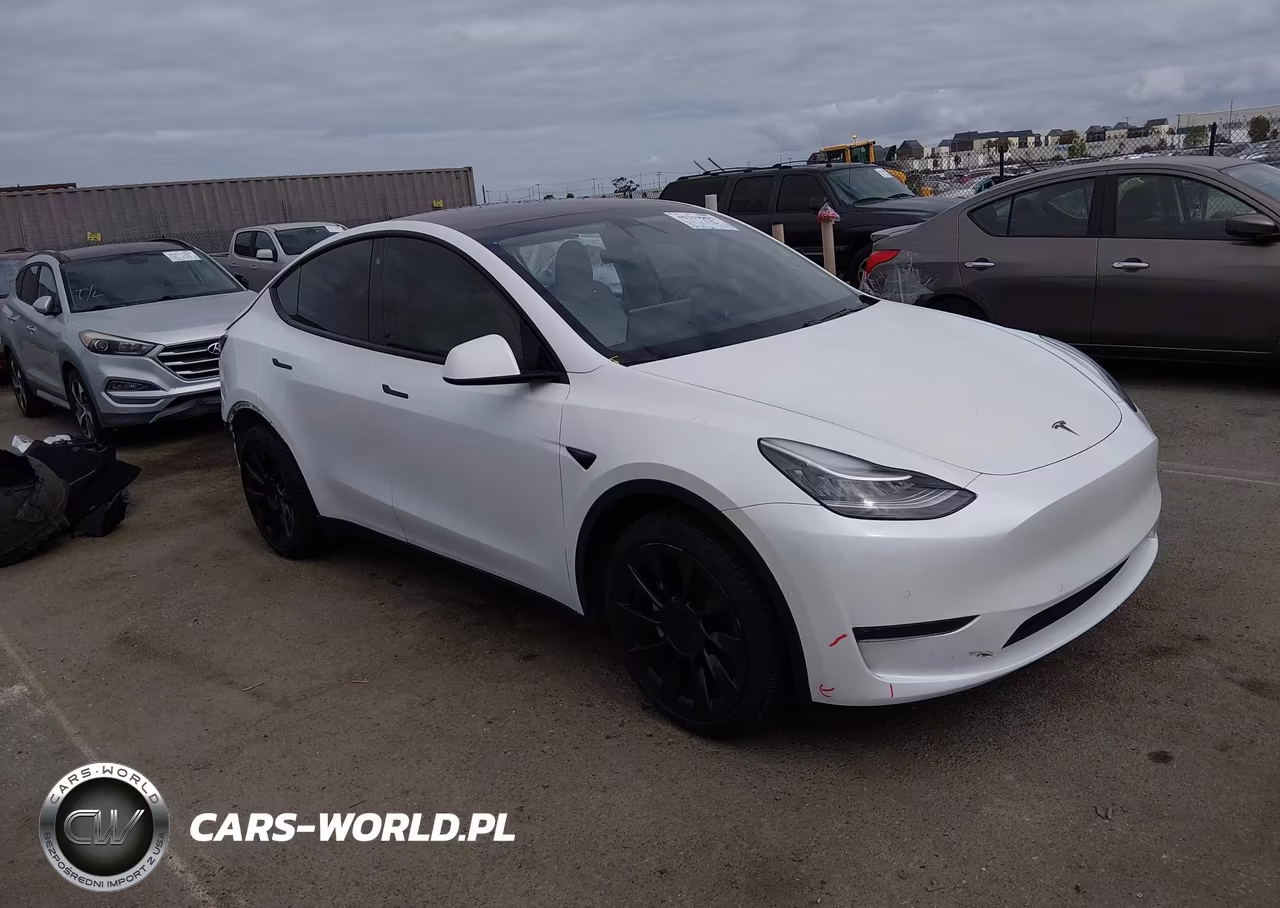 2020 Tesla Model Y Long Range Dual Motor All-Wheel Drive