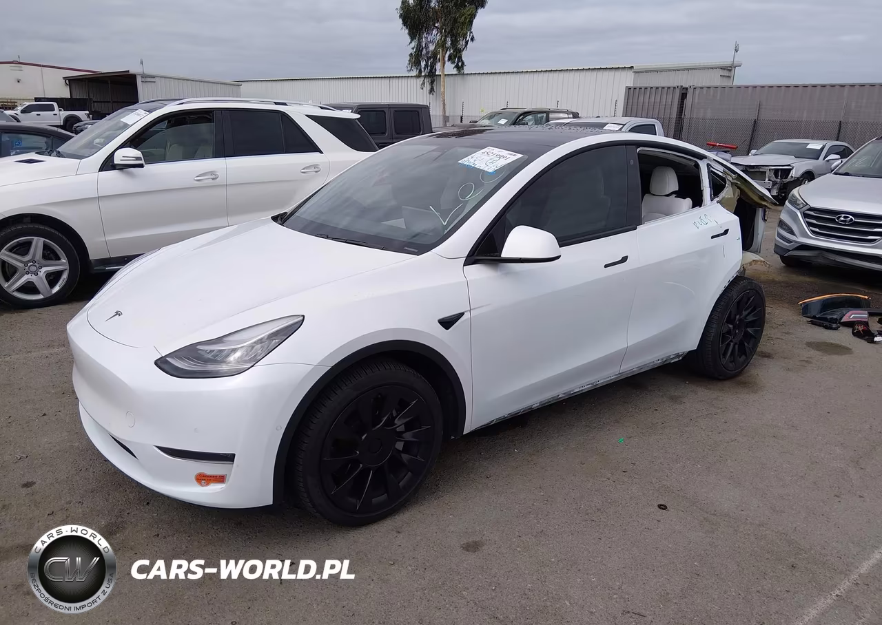 2020 Tesla Model Y Long Range Dual Motor All-Wheel Drive VIN:5YJYGDEE6LF055777 - 2