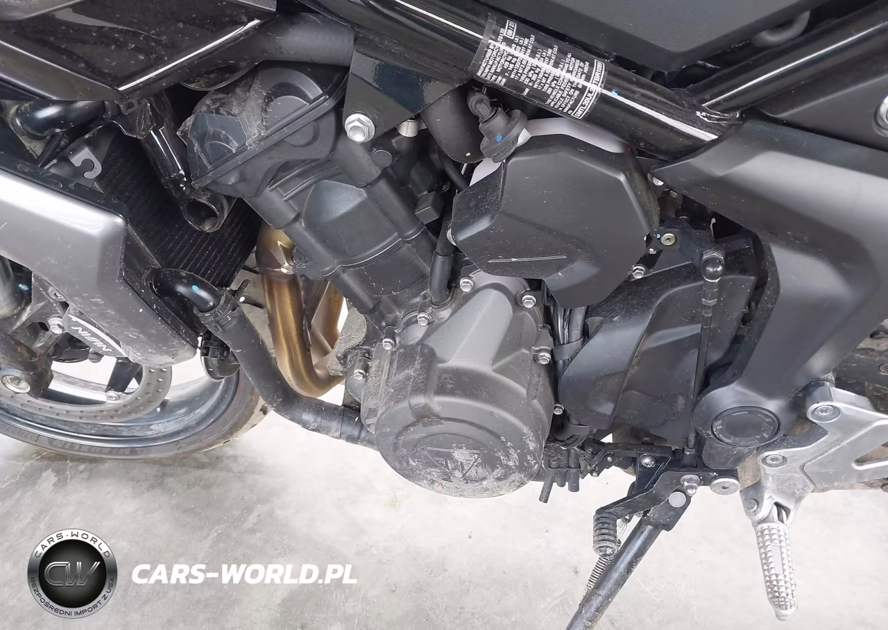 2024 Triumph Motorcycle Tiger Sport 660 VIN:SMTL20UL2RTBR1089 - 9