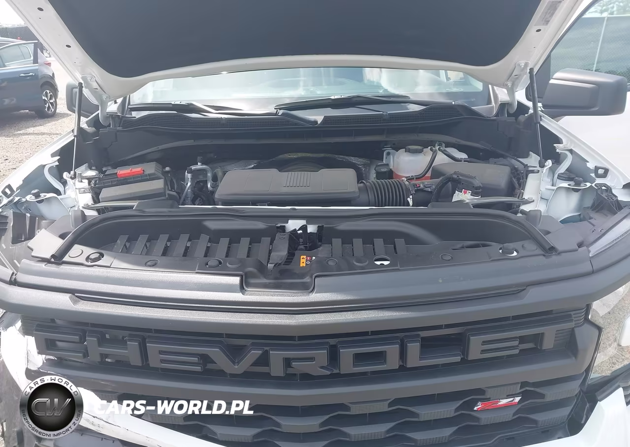 2026 Chevrolet Silverado 1500 4Wd Short Bed Custom Trail Boss VIN:3GCUKCED6TG205380 - 10