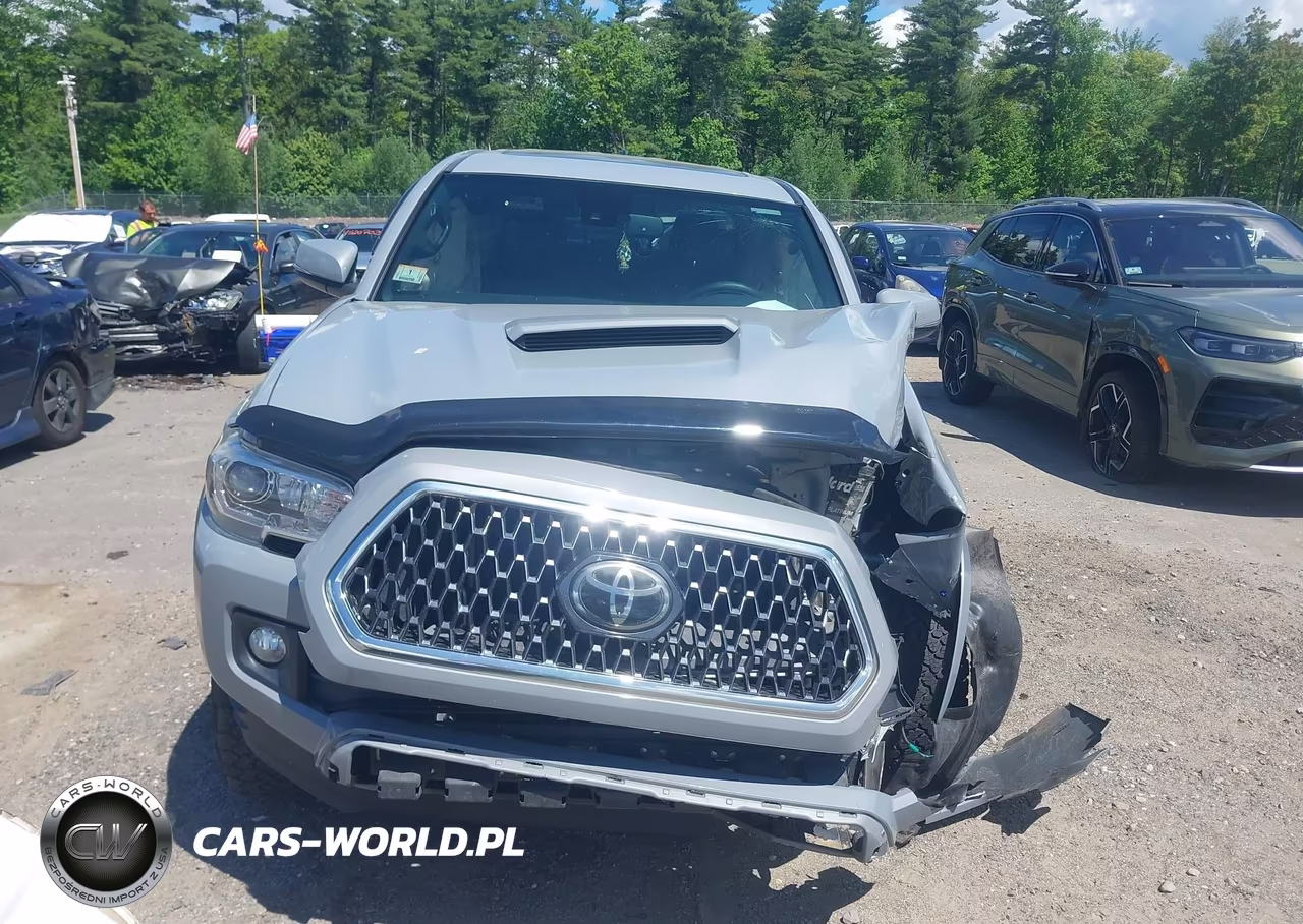 2019 Toyota Tacoma Trd Sport VIN:3TMDZ5BN6KM056070 - 12