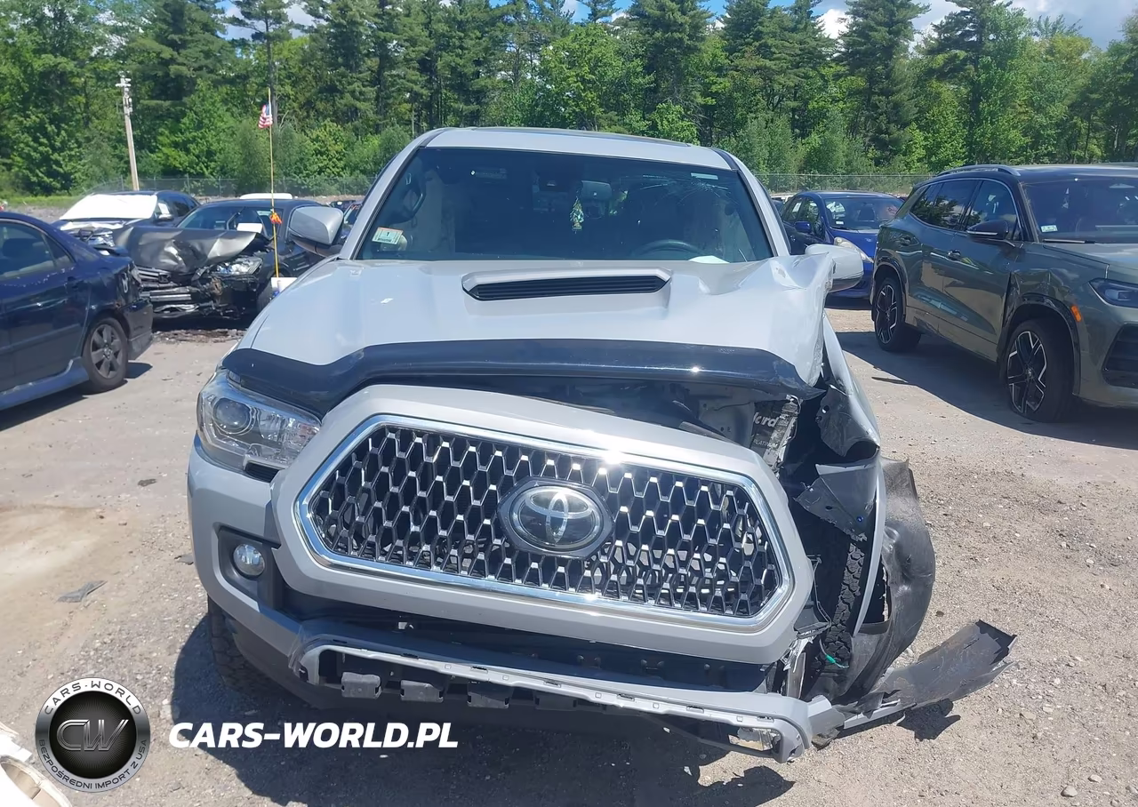 2019 Toyota Tacoma Trd Sport VIN:3TMDZ5BN6KM056070 - 6