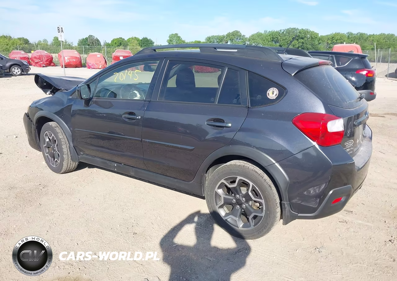 2013 Subaru Xv Crosstrek 2.0I Premium VIN:JF2GPAWC6D2864273 - 3