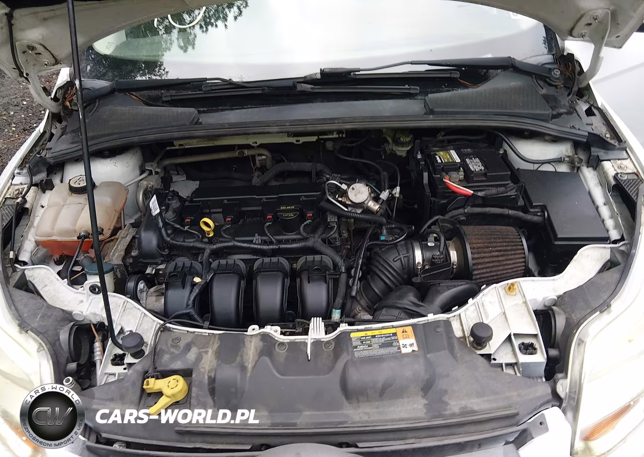2014 Ford Focus Se VIN:1FADP3F23EL117770 - 10