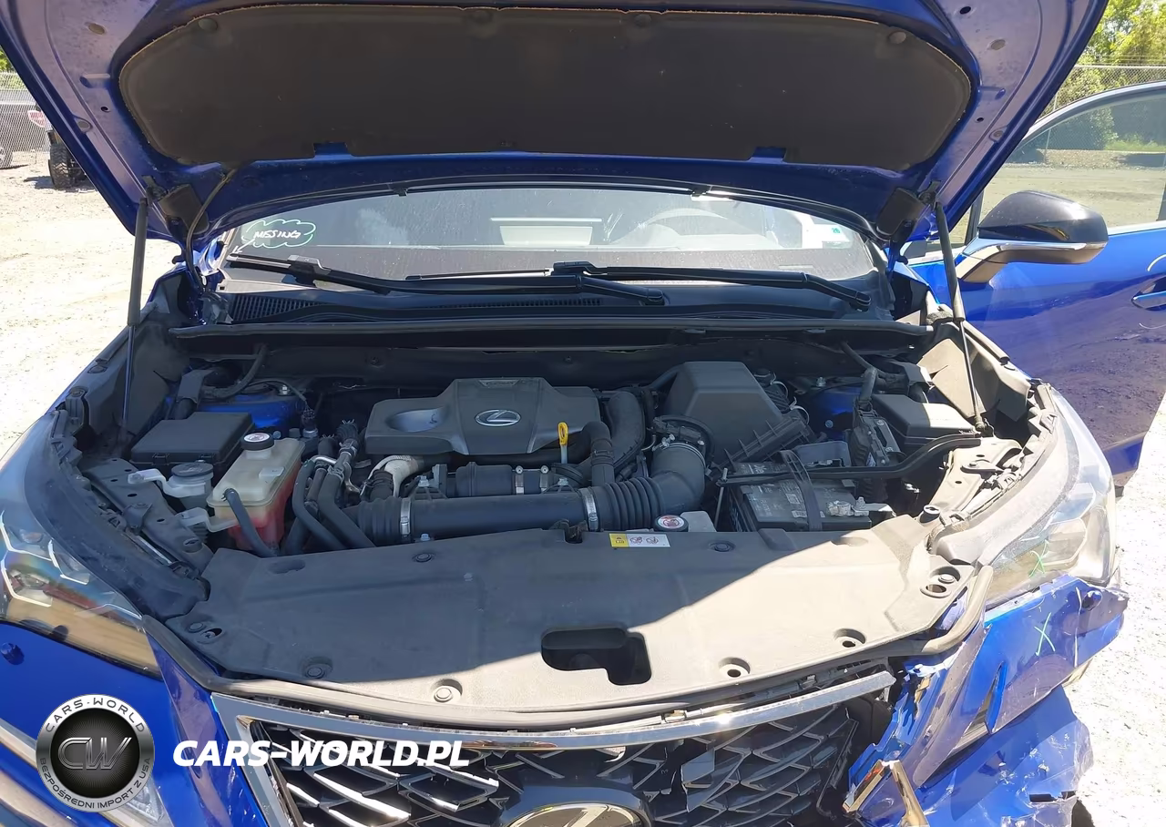 2018 Lexus Nx 300 VIN:JTJBARBZ1J2158985 - 10