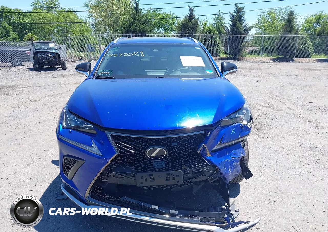 2018 Lexus Nx 300 VIN:JTJBARBZ1J2158985 - 12