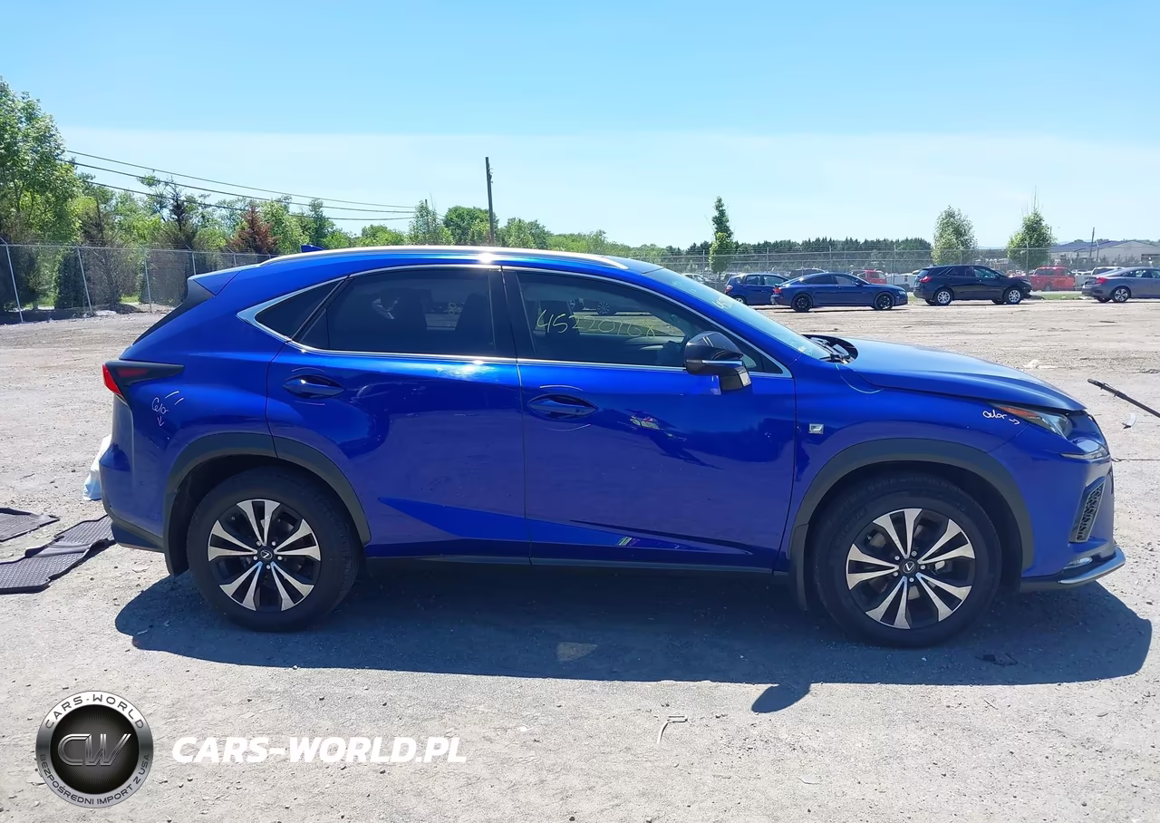 2018 Lexus Nx 300 VIN:JTJBARBZ1J2158985 - 13