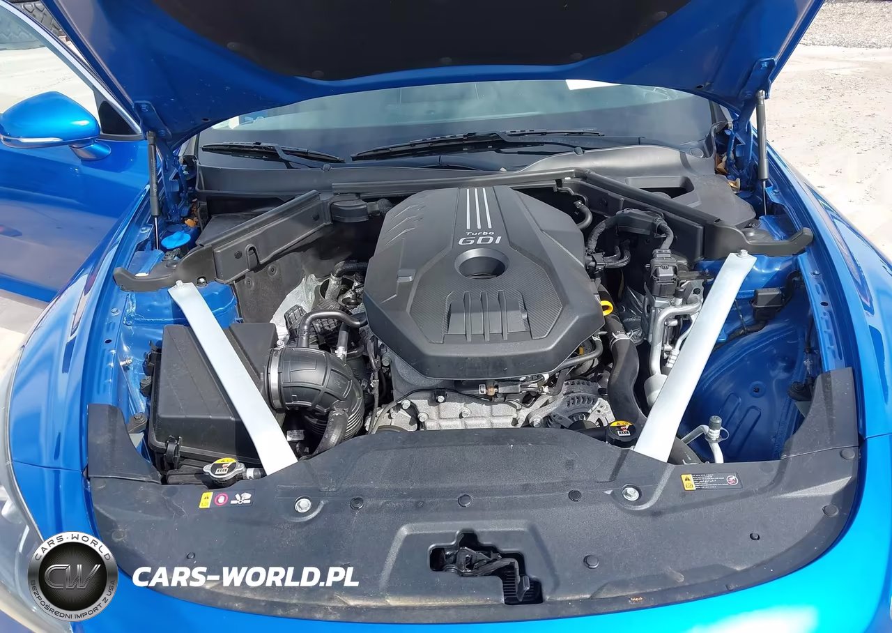 2019 Kia Stinger Premium VIN:KNAE25LA6K6047645 - 10