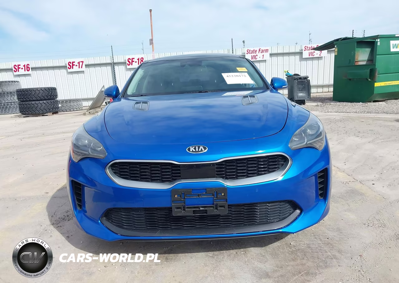2019 Kia Stinger Premium VIN:KNAE25LA6K6047645 - 12