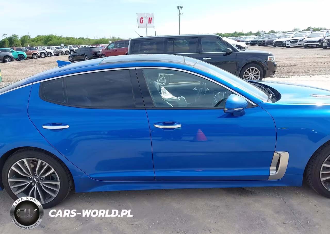 2019 Kia Stinger Premium VIN:KNAE25LA6K6047645 - 13