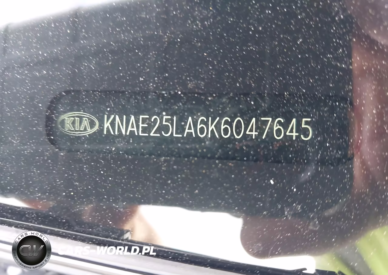 2019 Kia Stinger Premium VIN:KNAE25LA6K6047645 - 9