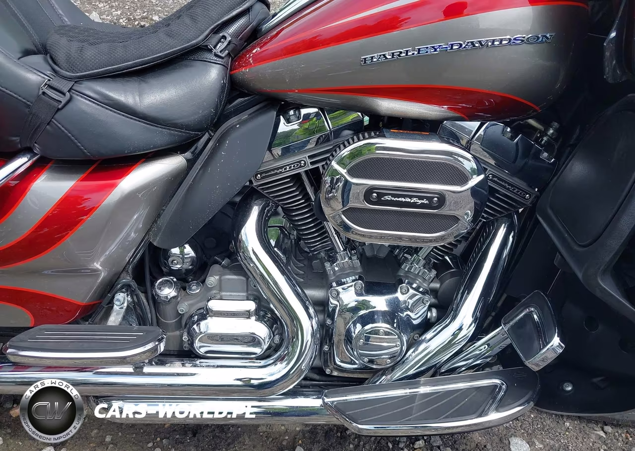 2016 Harley-Davidson Fltruse Cvo Road Glide VIN:1HD1TAN10GB956269 - 8