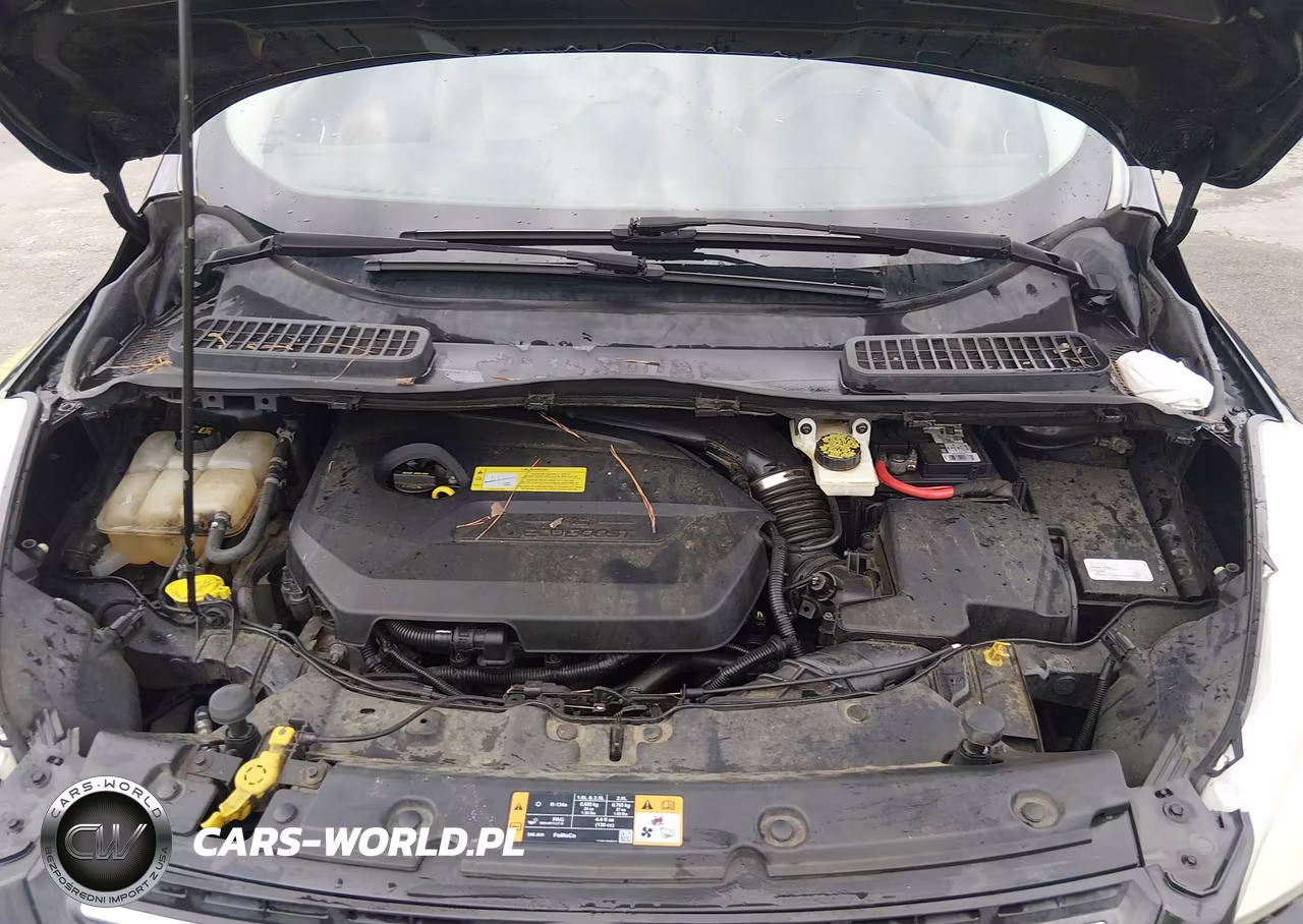 2014 Ford Escape Se VIN:1FMCU0GX1EUB40123 - 10