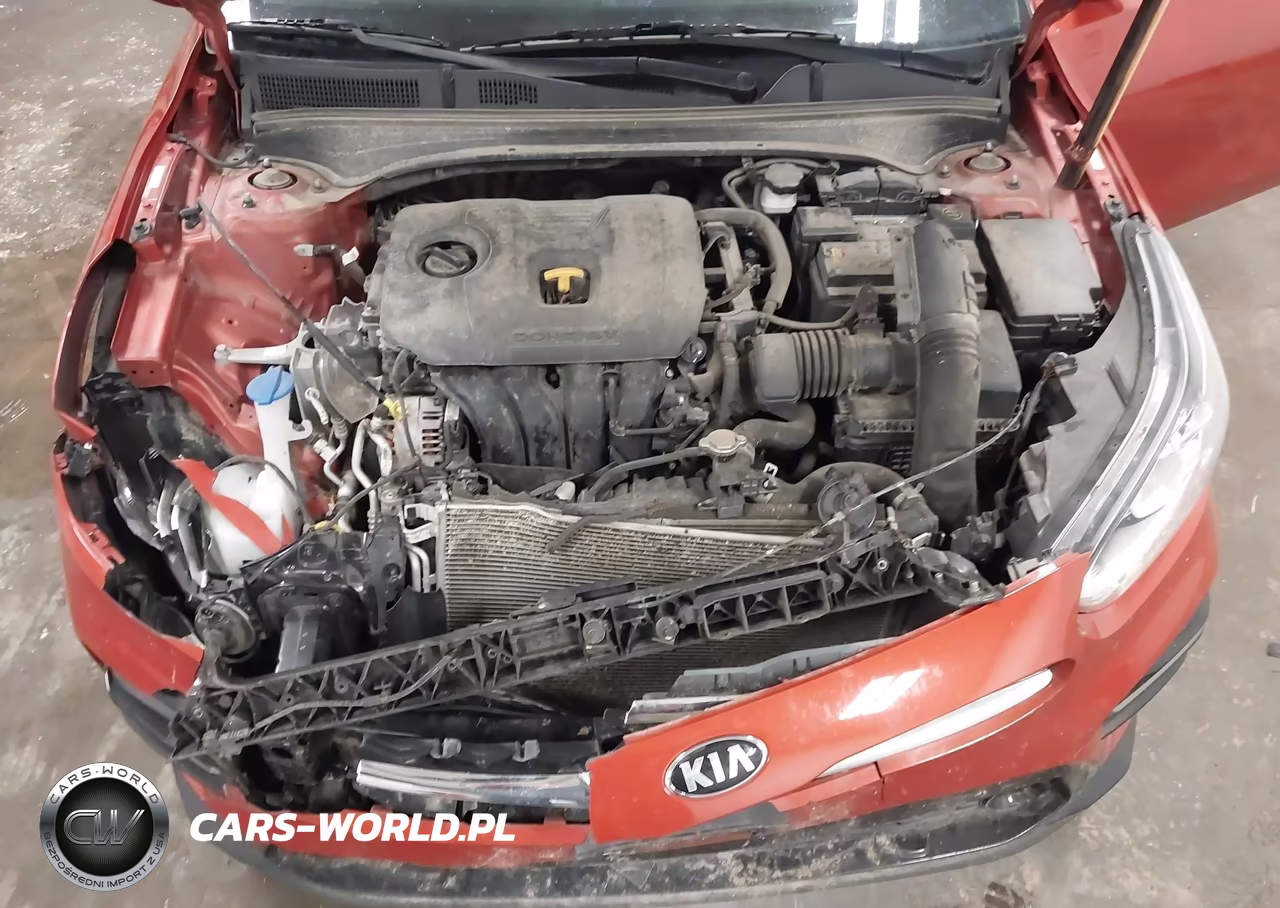 2019 Kia Forte Ex VIN:3KPF54AD8KE069064 - 10